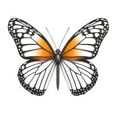 Fototapeta premium Vibrant monarch butterfly with striking orange and black wings is depicted in this image, showcasing its intricate patterns and delicate beauty