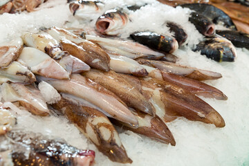 Fresh raw calamari on ice on counter in fish shop or restaurant