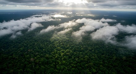 Aerial view of lush forest landscape with cloud cover and sunlight