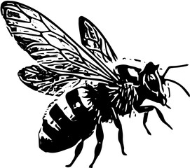 bee on white background