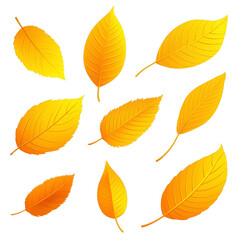Obraz premium Golden autumn leaves scattered on transparent background, showcasing various shapes and sizes. vibrant yellow hues evoke sense of warmth and seasonal change