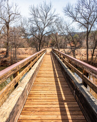 Fototapeta premium wooden bridge in the forest