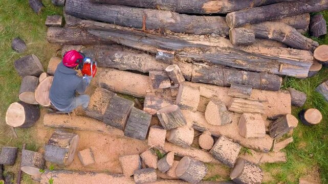 Lumberjack with a chainsaw cutting trees in the forest. Preparing firewood for winter. Top down view. Aerial view from drone
