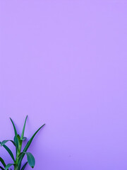 Obraz premium Purple wall background