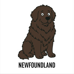 Vector Cartoon Character Illustration Newfoundland Dog Breed
