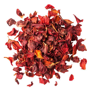  Red dry barbaris [Transparent Background PNG].