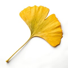 Naklejka premium Single Vibrant Yellow Ginkgo Leaf On A Crisp White Background