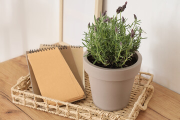 Pot with beautiful lavender flowers and books on table in stylish living room, closeup
