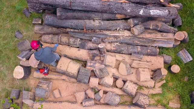 Lumberjack with a chainsaw cutting trees in the forest. Preparing firewood for winter. Top down view. Aerial view from drone
