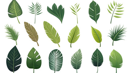 Colorful Palm Leaf Exotic Flat Vector Set Illustration for Design Projects