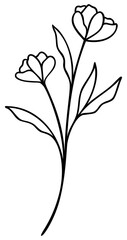 Wildflower Line Art | Vector Flower | Botanical Art