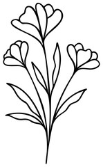 Wildflower Line Art | Vector Flower | Botanical Art