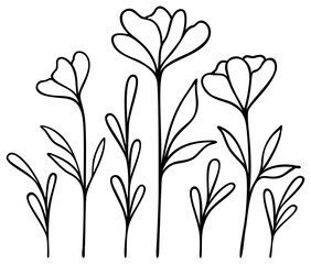Wildflower Line Art | Vector Flower | Botanical Art