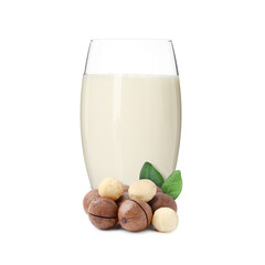 Nut milk in glass and macadamias isolated on white