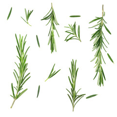 Fresh aromatic rosemary isolated on white, collage