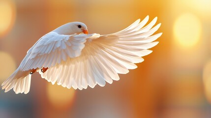 Fototapeta premium White Bird in Flight with Wings Spread Against a Warm Background