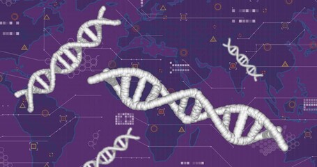 White 3D DNA helix strands floating over purple world map showcasing hexagonal data motifs - Powered by Adobe
