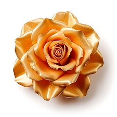 Golden rose flower isolated on a white background, top view. 