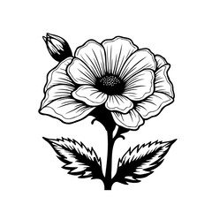 Elegant botanical illustration: Black and white floral design with delicate details