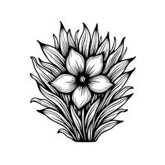 Monochrome botanical illustration showcases a flower encircled by foliage artfully