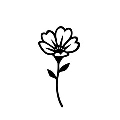 Delicate floral illustration with thin lines, a symbol of simplicity and botanical art
