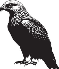 Kite Bird Silhouette