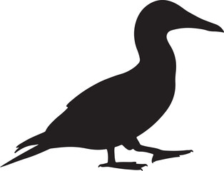 Masked Booby Silhouette