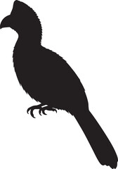 Turaco Silhouette