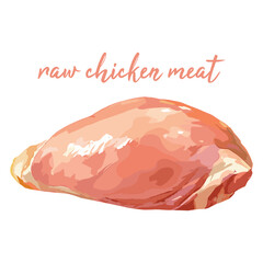 raw chicken meat in watercolor illustration style, isolated vector on white background