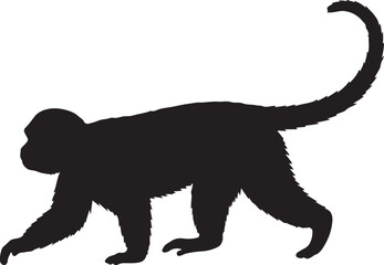 White-Faced Capuchin Silhouette