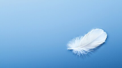 A delicate white feather floats peacefully on calm blue water, evoking a sense of tranquility and lightness.