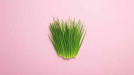 Fresh green chives arranged on a pastel pink background, creating a simple and vibrant composition.