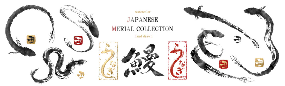 うなぎ, ベクター, 土用の丑の日, 丑の日, 筆書き, 墨絵, 水墨画, 水彩, フレーム, 筆, 筆文字, 文字, 鰻, セット, 筆丸, 金箔, 金, 毛筆, ウナギ, 手書き, 和風, 和, イラスト