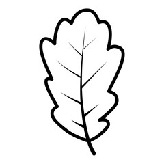 oak leaf vector icon