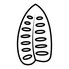 monstera leaf vector icon