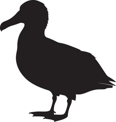 Albatross Vector Silhouette