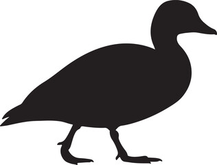 African Pygmy Goose Vector Silhouette