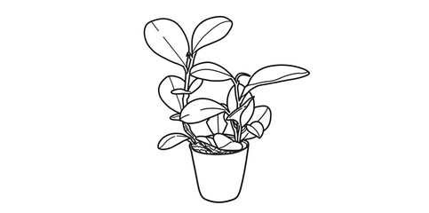 con of flowers in vase and ornamental plants in vase, wedding decoration, special day greeting card for couple. friendly nature card concept.