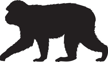 Barbary Macaque Vector Silhouette