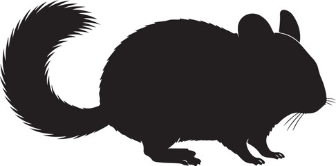 Chinchilla Vector Silhouette