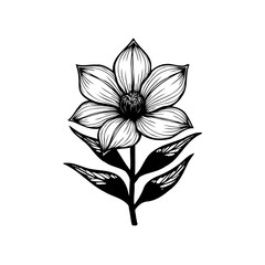 Monochrome floral illustration exhibiting elegance and botanical simplicity for creative designs