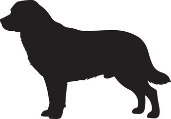 Entlebucher Mountain Dog Vector Silhouette