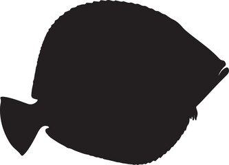 Flounder Vector Silhouette