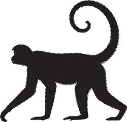 Geoffroy’s Spider Monkey Vector Silhouette © Rizwan Ahmad