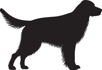 German Longhaired Pointer Vector Silhouette