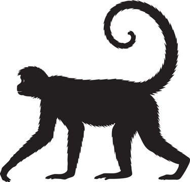 Geoffroy&rsquo;s Spider Monkey Vector Silhouette