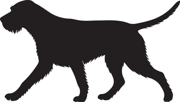German Wirehaired Pointer Vector Silhouette