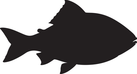 Gilt-head Bream Vector Silhouette
