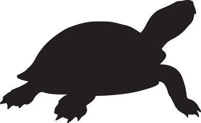 Hawksbill Turtle Vector Silhouette