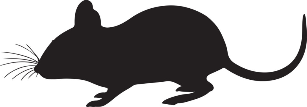 Indian Desert Jird Vector Silhouette